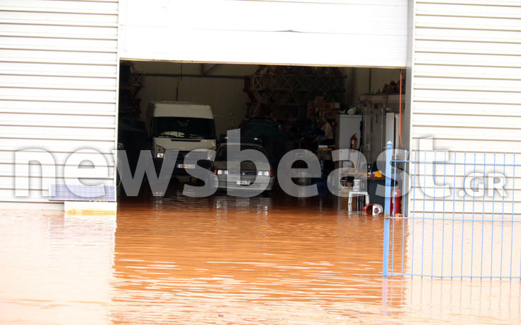 7583937120_IMG_0404 7583937120_IMG_0404