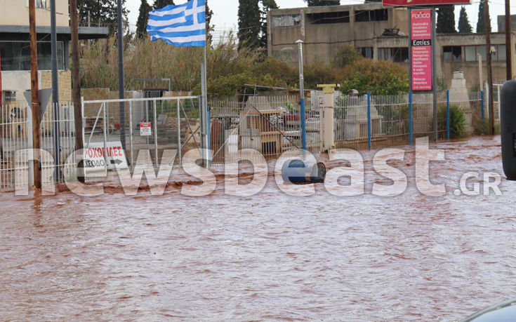 7583937120_IMG_0410 7583937120_IMG_0410