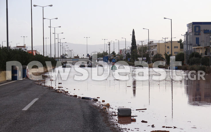 7583937120_IMG_0412 7583937120_IMG_0412