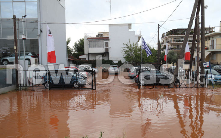 7583937120_IMG_0414 7583937120_IMG_0414