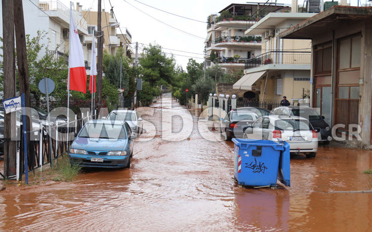 7583937120_IMG_0416 7583937120_IMG_0416