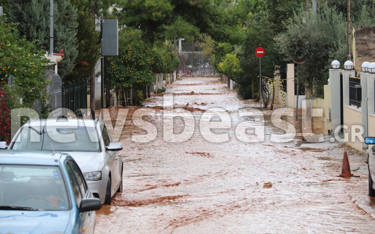 7583937120_IMG_0420 7583937120_IMG_0420