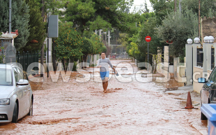 7583937120_IMG_0430 7583937120_IMG_0430