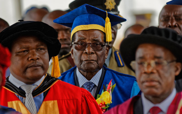 AP_17321356466510 AP_17321356466510