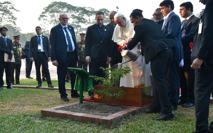 AP_17334439867358 AP_17334439867358