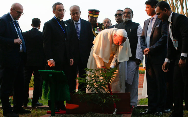 AP_17334449766554 AP_17334449766554