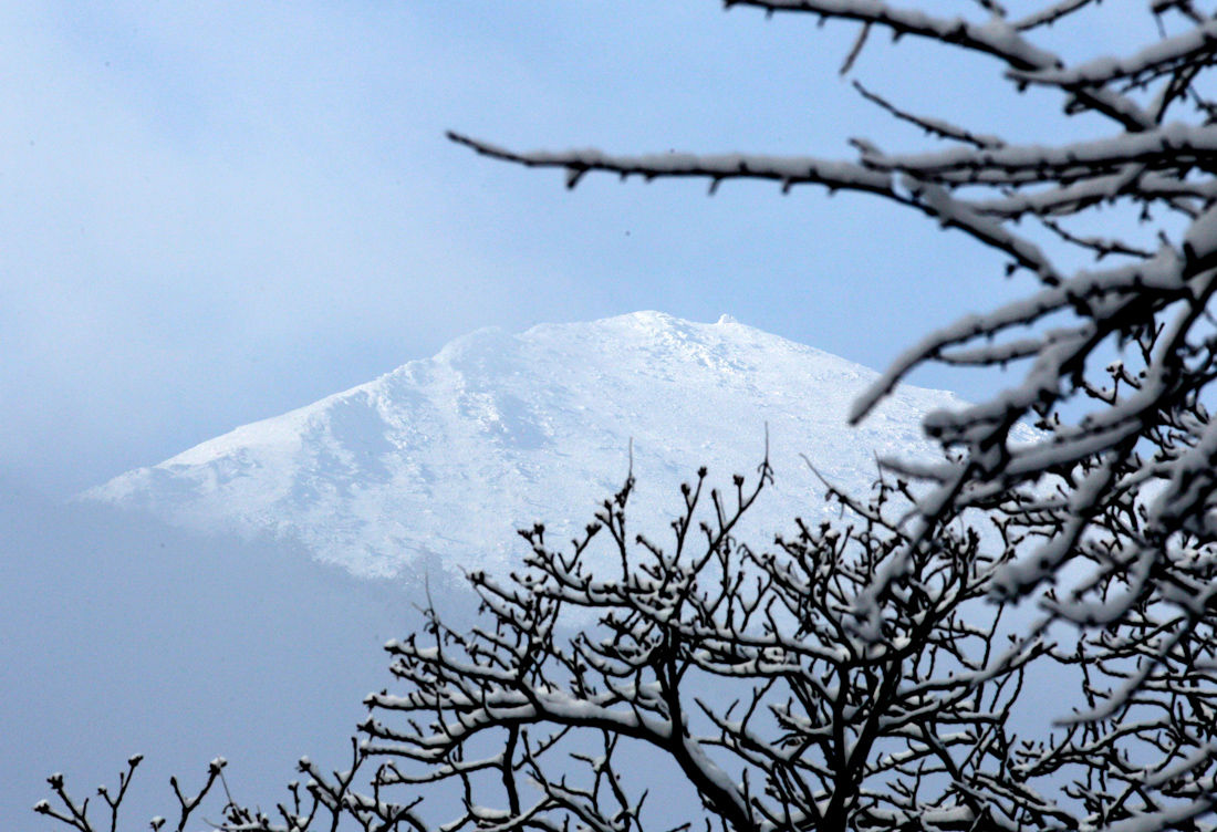 AP_256856690759 AP_256856690759