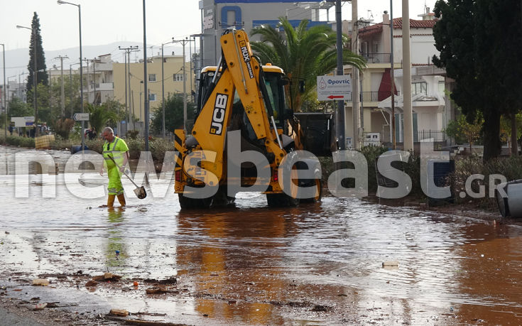 ORG_DSC03239 ORG_DSC03239