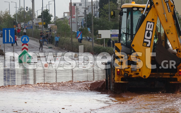 ORG_DSC03246 ORG_DSC03246