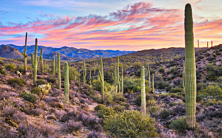 ΑΡΙΖΟΝΑ ΗΠΑ