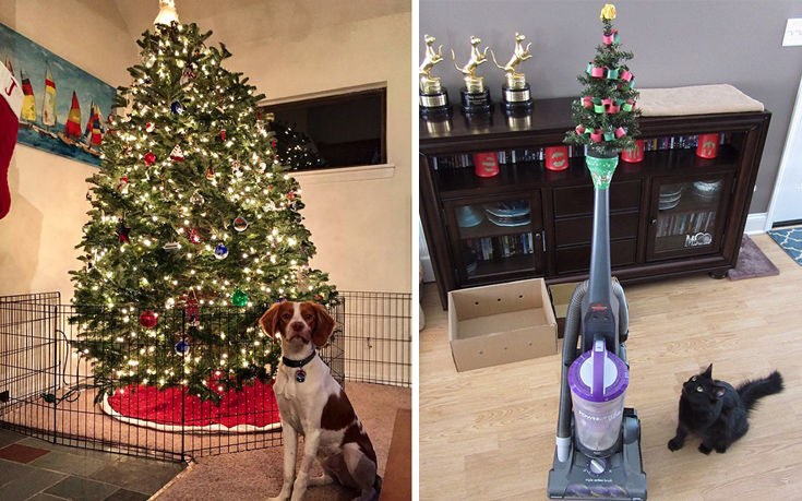 Πώς να προστατέψεις το χριστουγεννιάτικο δέντρο από το κατοικίδιο