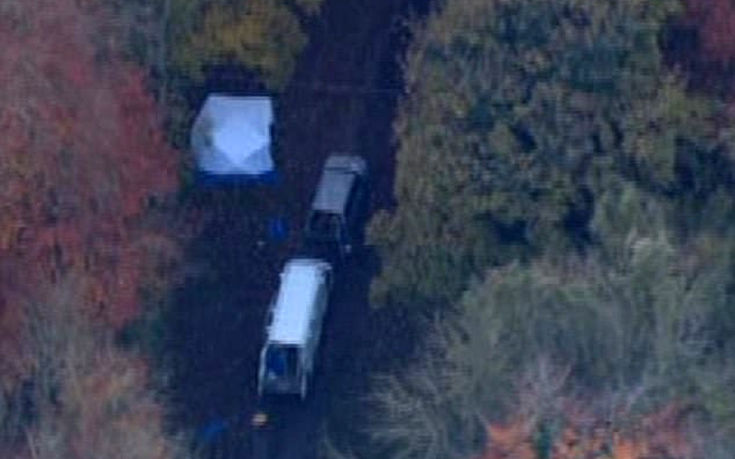 diohbofid;h2 diohbofid;h2