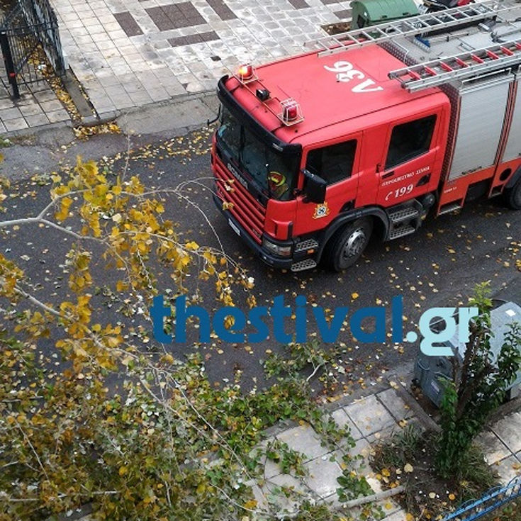 dpgohsfdio1 dpgohsfdio1