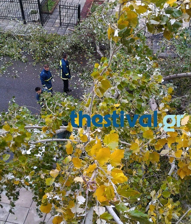 dpgohsfdio2 dpgohsfdio2