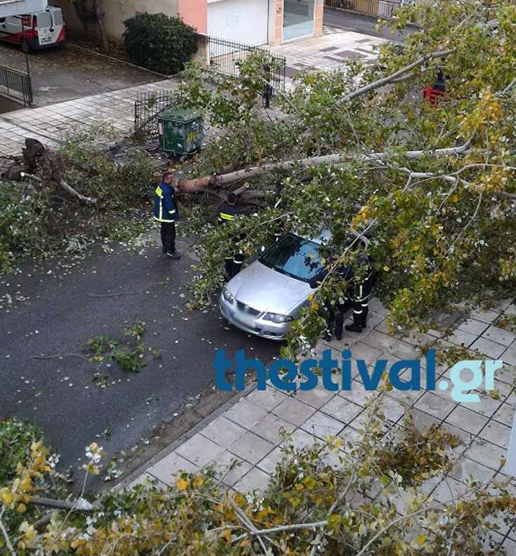 dpgohsfdio3 dpgohsfdio3