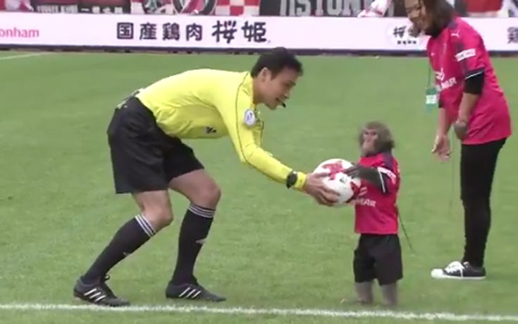 Μια μαϊμού έδωσε την μπάλα για να αρχίσει ματς στην Ιαπωνία
