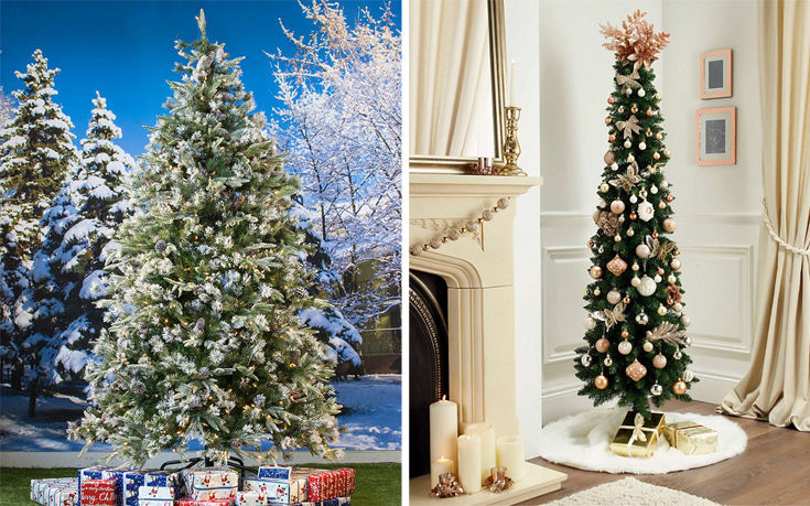 Ποιο χριστουγεννιάτικο δέντρο κοστίζει 17 και ποιο 500 ευρώ;