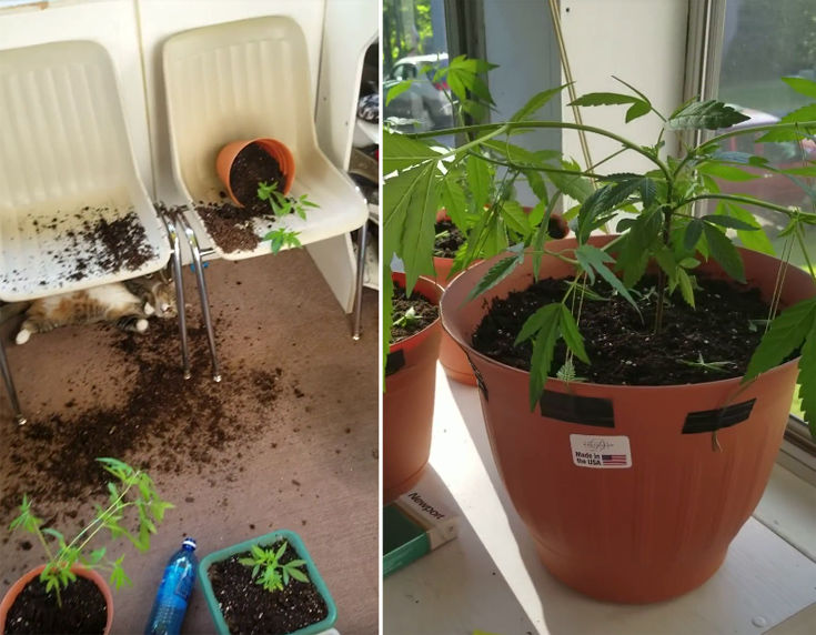 fnrhiogtnrien1 fnrhiogtnrien1