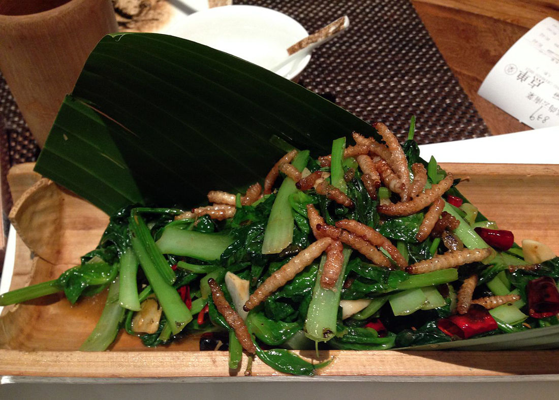 mmfewsofewoffsrfsee100 mmfewsofewoffsrfsee100