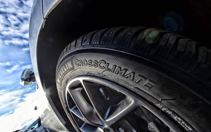 osdghofis6 osdghofis6