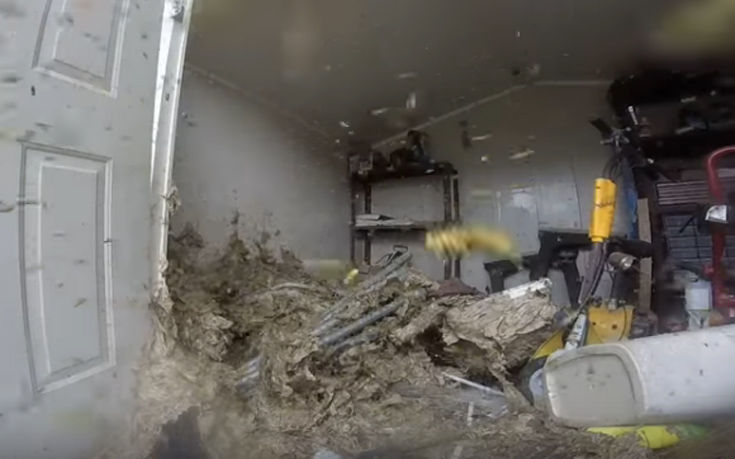 Ανοίγοντας μια τεράστια σφηκοφωλιά