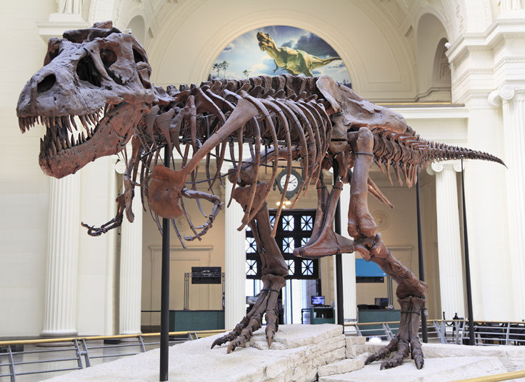 ΣΙΚΑΓΟ ΣΙΚΑΓΟ