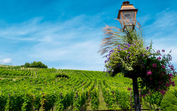 ΕΓΚΙΣΑΙΜ ΓΑΛΛΙΑ ΕΓΚΙΣΑΙΜ ΓΑΛΛΙΑ