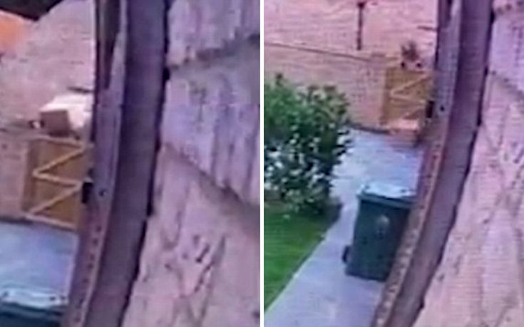 Η παράδοση του πακέτου είχε άσχημη κατάληξη