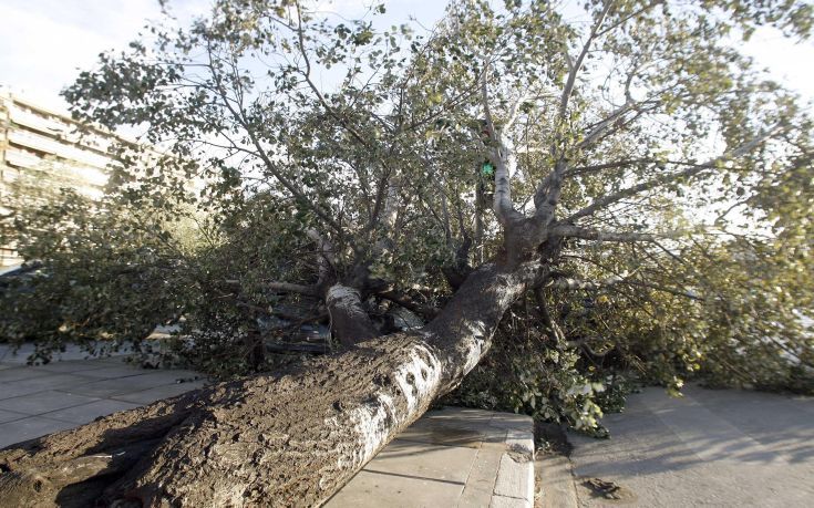 Περισσότερες από 350 κλήσεις στην Αττική λόγω των δυνατών ανέμων