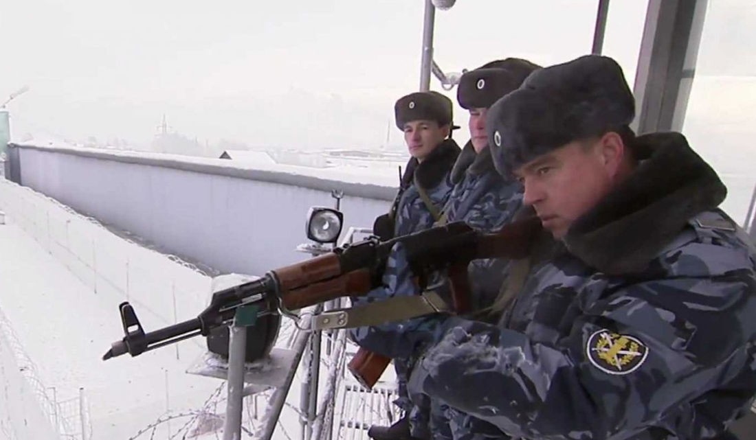 vvllcvffvfdgertfead02 vvllcvffvfdgertfead02