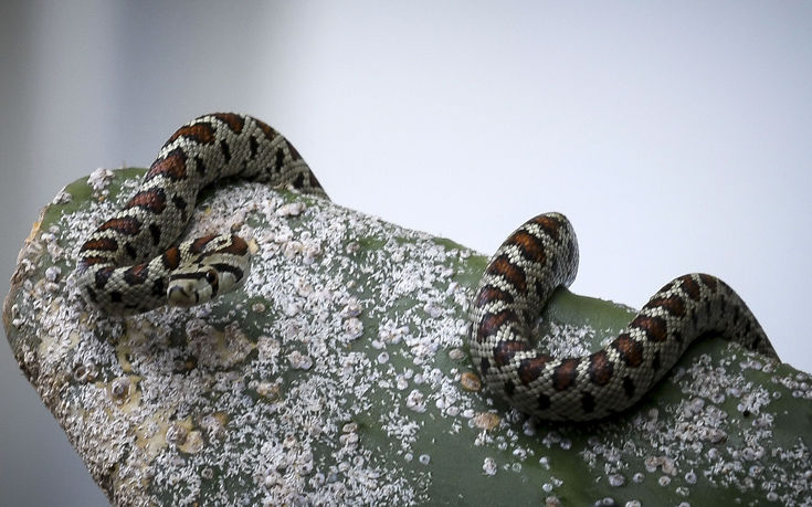 wgiohrioh3 wgiohrioh3