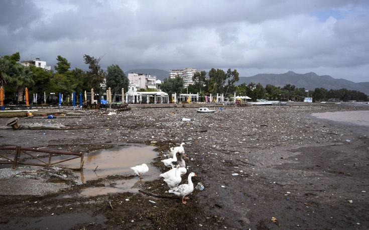 wgiohrioh4 wgiohrioh4