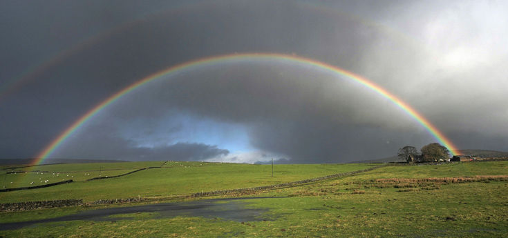 wtnphyotn10 wtnphyotn10