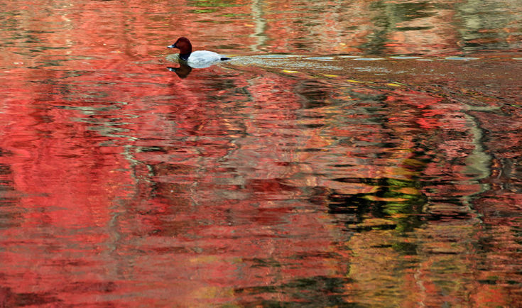 wtnphyotn11 wtnphyotn11