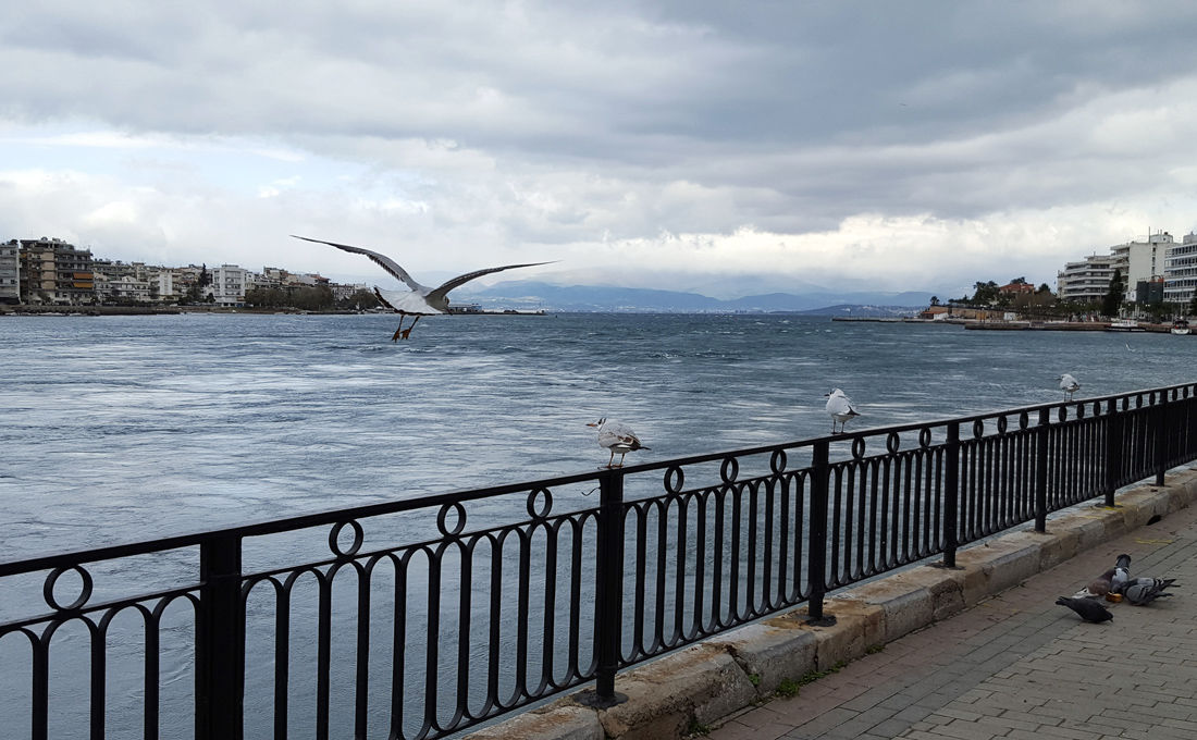 Χαλκίδα, η πόλη με τα «τρελά νερά»