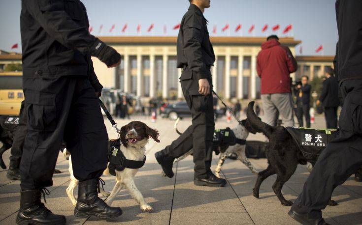 Οκτώ συλληφθέντες για πώληση δηλητηριασμένων συρίγγων για θανάτωση σκύλων