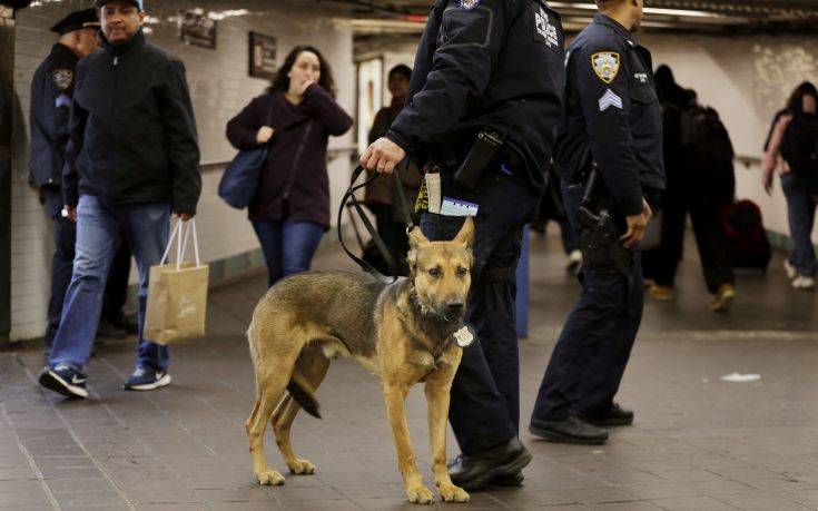 «Μοναχικός λύκος» πιθανότατα ο δράστης της πρόσφατης επίθεσης στη Νέα Υόρκη