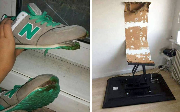 Σίγουρα δεν ήταν η μέρα τους