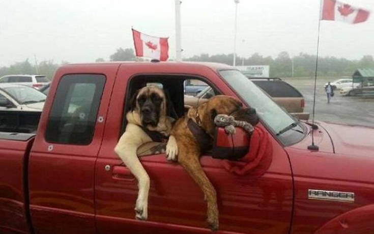 Έχουν και στον Καναδά τα θεματάκια τους