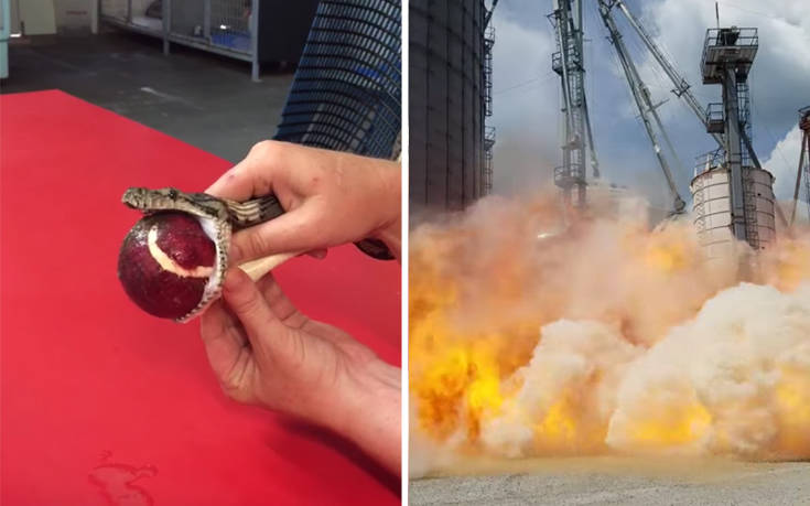 Βίντεο που έγιναν viral το 2017