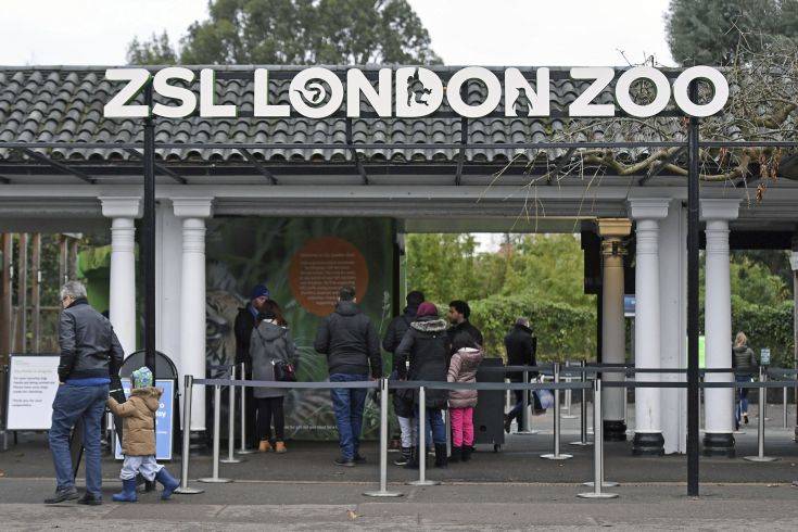 Επαναλειτουργεί ο ζωολογικός κήπος του Λονδίνου
