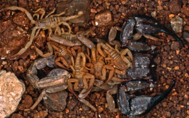 ogihgio'oi10 ogihgio'oi10