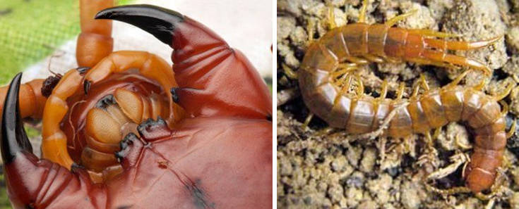 ogihgio'oi4 ogihgio'oi4