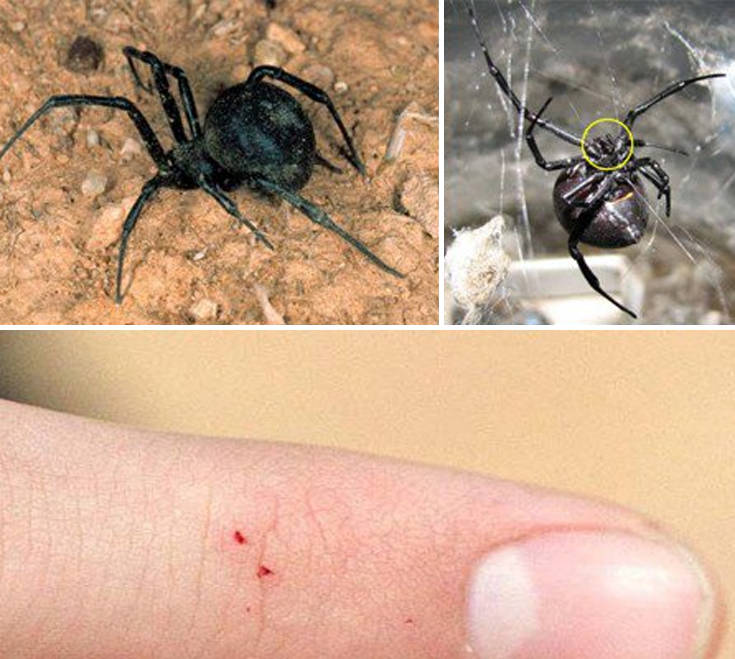 ogihgio'oi5 ogihgio'oi5