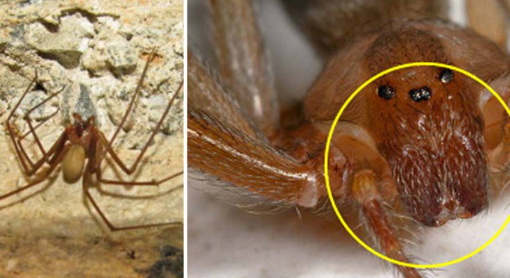 ogihgio'oi6 ogihgio'oi6