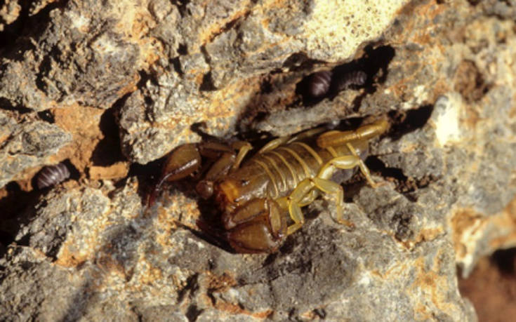 ogihgio'oi8 ogihgio'oi8