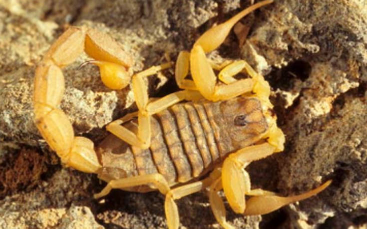 ogihgio'oi9 ogihgio'oi9