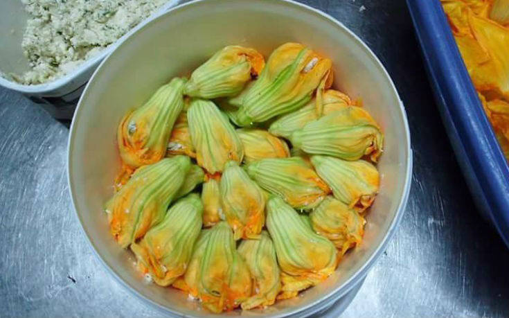 paradeisos paradeisos