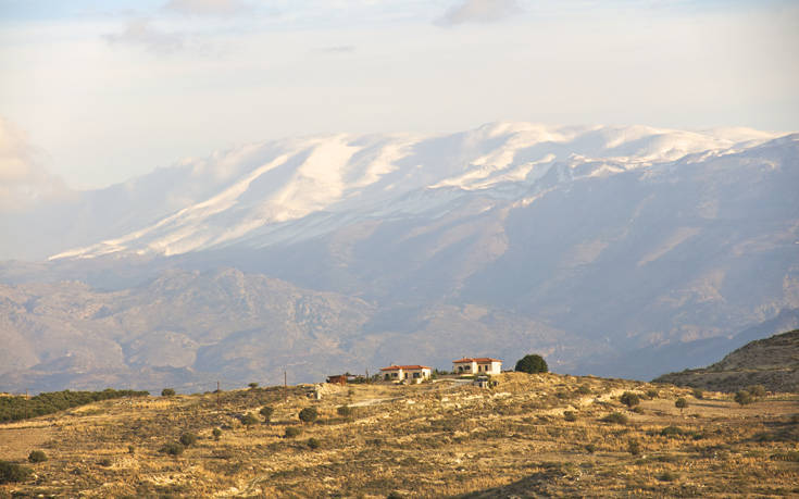 ΨΗΛΟΡΕΙΤΗΣ