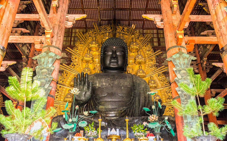 ΝΑΡΑ ΙΑΠΩΝΙΑ